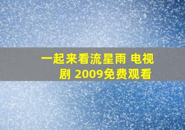 一起来看流星雨 电视剧 2009免费观看